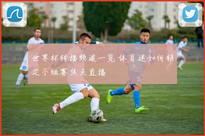 世界杯转播频道一览 体育迷如何锁定小组赛焦点直播