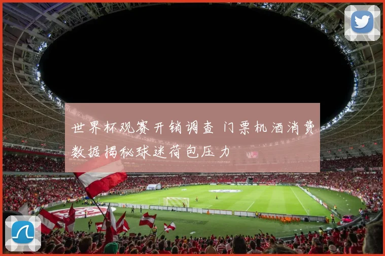 世界杯观赛开销调查 门票机酒消费数据揭秘球迷荷包压力