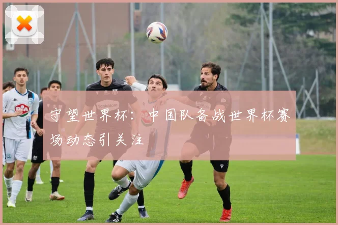 守望世界杯:中国队备战世界杯赛场动态引关注