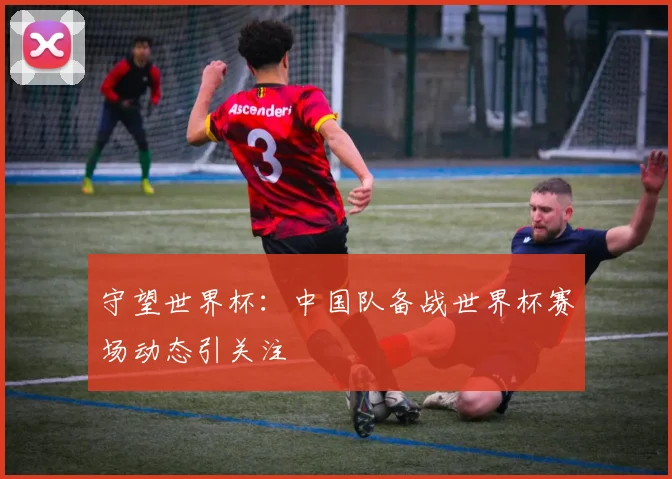 守望世界杯:中国队备战世界杯赛场动态引关注