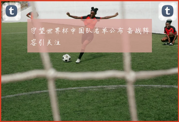 守望世界杯中国队名单公布 备战阵容引关注